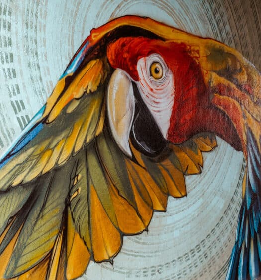 Tipps für die schönsten Graffiti und Streetart Hotspots in Nürnberg